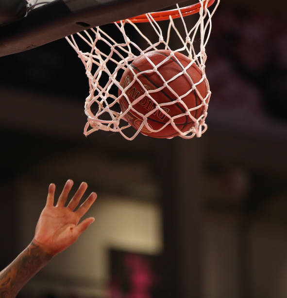 他的稳定输 他的稳定输